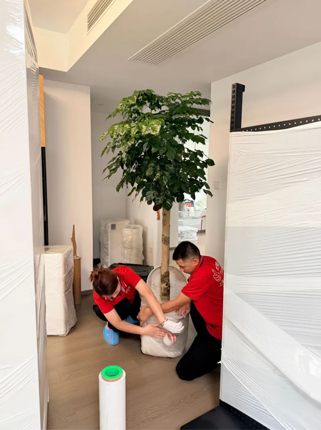 苏宁环球